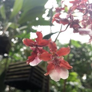 Meet your Posher, Alana